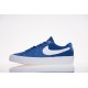 Obuv NIKE Zoom Blazer Court Low Pro GT PRM - DC7695 401