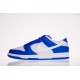 Obuv NIKE Dunk Low - FN3416 001