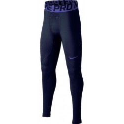 Dívčí tréninkové legíny NIKE Tech Pack Seamless Tights - BV2846 492